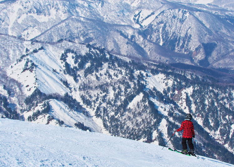 Hakuba’s world-class slopes attract visitors from around the globe. (Photo: PIXTA)