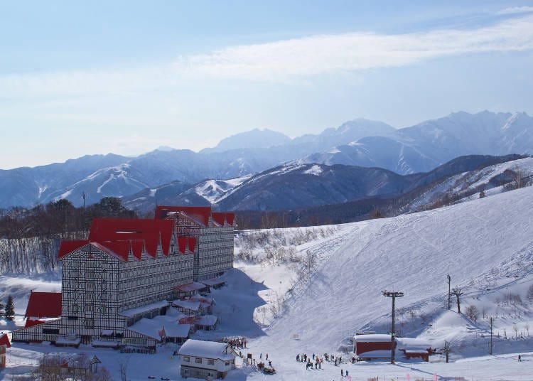 ‘하쿠바 코르티나’는 마치 유럽의 스키 샬레(산장)를 연상케 한다.