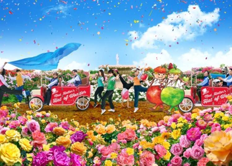 愛麗絲的Blooming Carnival（千葉縣八千代市）