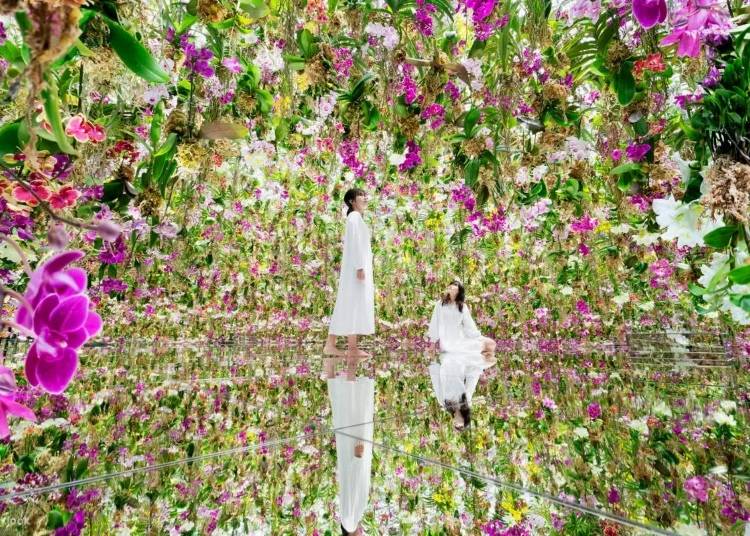 Floating Flower Garden (©teamLab)