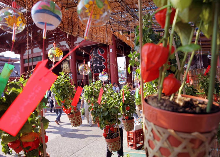 (Photo courtesy of Sensoji Temple)