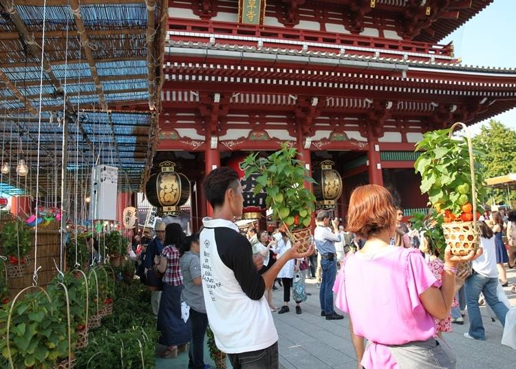 写真提供：浅草寺