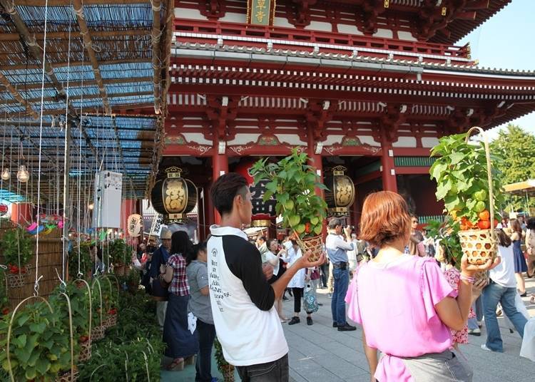 圖片提供：淺草寺