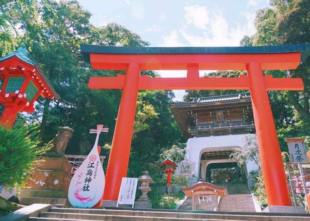 5 Recommended Tokyo Bus Tours - Enjoy Nearby Destinations such as Mount Fuji, Hakone, and Shizuoka!