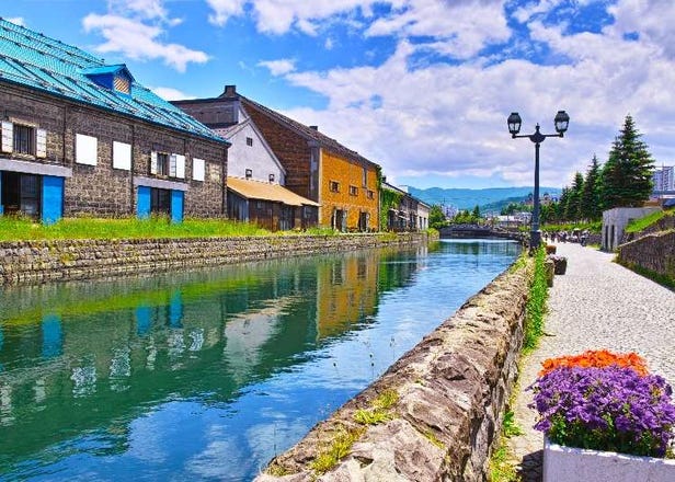 Recommended Sapporo Bus Tours - Explore Otaru, Furano, Biei, and more conveniently and efficiently