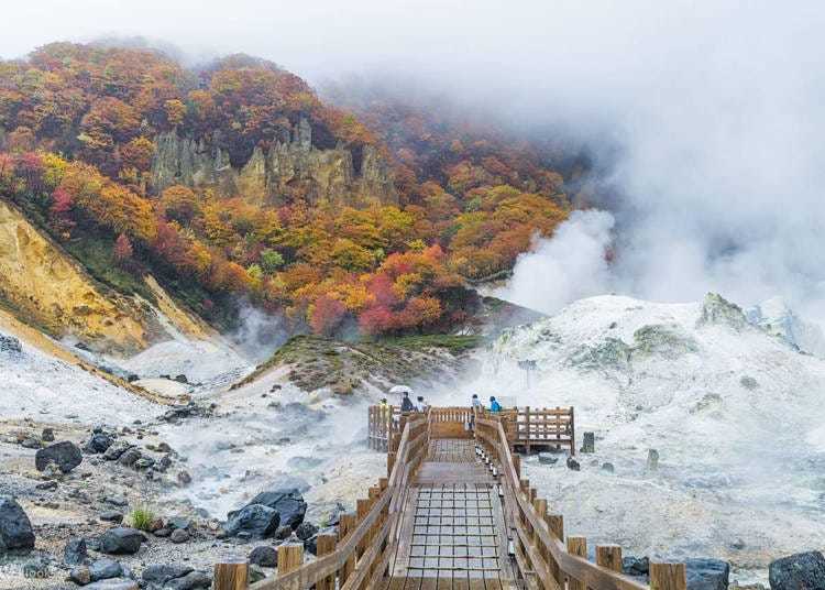 Autumn Hokkaido Bus Tours from Sapporo: 10 Scenic Trips for Every Season