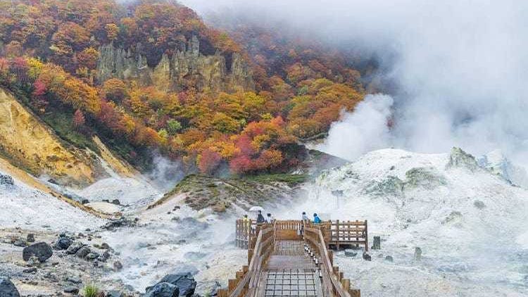 北海道秋季賞楓巴士之旅:札幌出發,四季皆宜的10大精選路線
