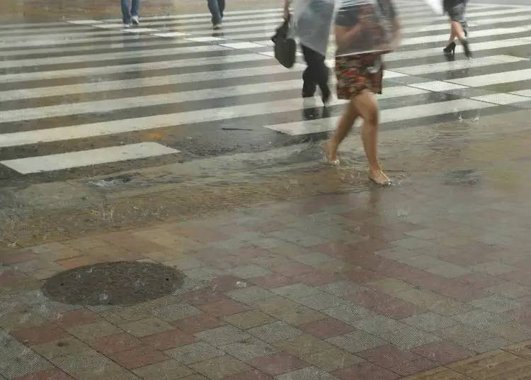 이미지 소재:PIXTA