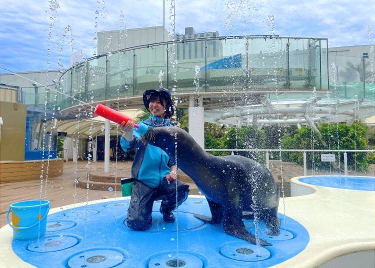 Creating Summer Memories at Sunshine Aquarium (Toshima, Tokyo)