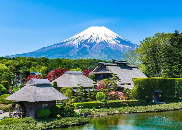 2023觀光客最期待的日本夏季旅遊體驗！富士山散步、江之島海景，還有迷人花火不容錯過