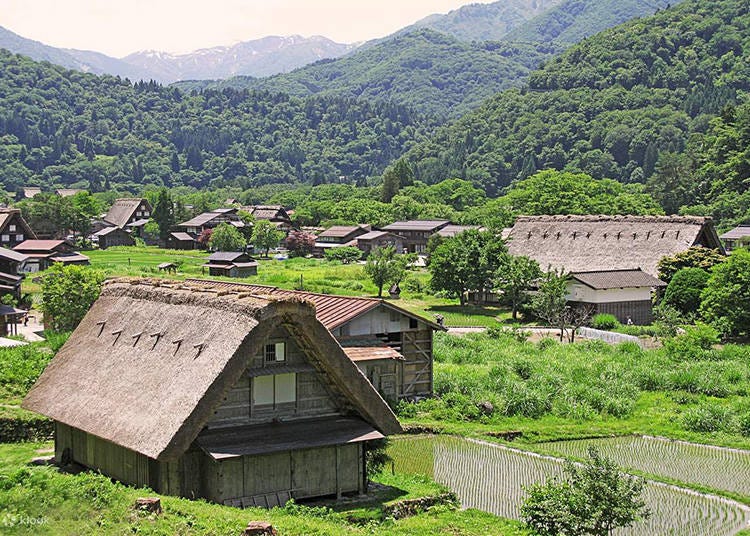 照片來源：Klook