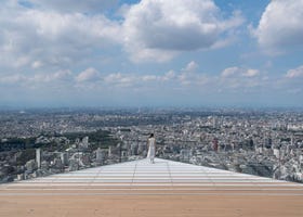 What to Prepare for a Trip to Tokyo: From Airport Transfers to Local Experiences