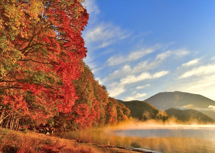 Amidst the morning mist rising on Lake Chuzenji, there lies Mount Nantai in the forest of autumn leaves (Photo: PIXTA)