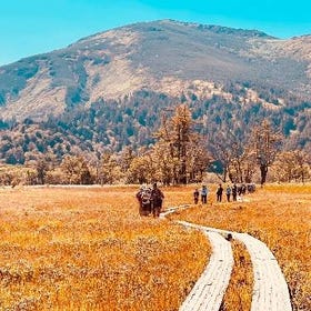 Oze Hiking Experience & Boukyou no Yu Hot Spring Day Tour from Tokyo (Small-Mid Group/English)
Details & Bookings ▶
(Experience Provider/Photo: Klook)
