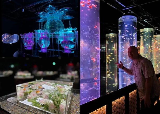 Art Aquarium Museum Ginza: Tickets, Highlights & Is It Worth Visiting?