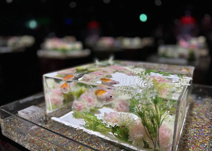 Art Aquarium Museum Ginza: Guide to Tokyo&rsquo;s Vibrant Living 