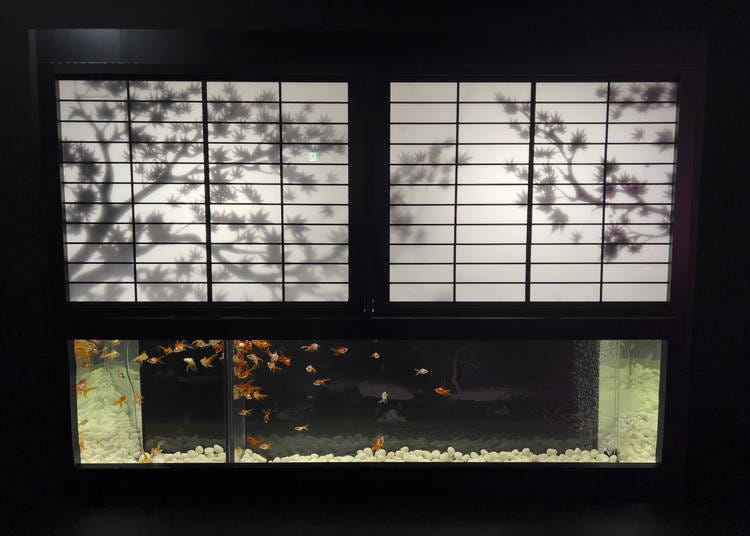 展現日本庭園四季變化的「Shojirium」