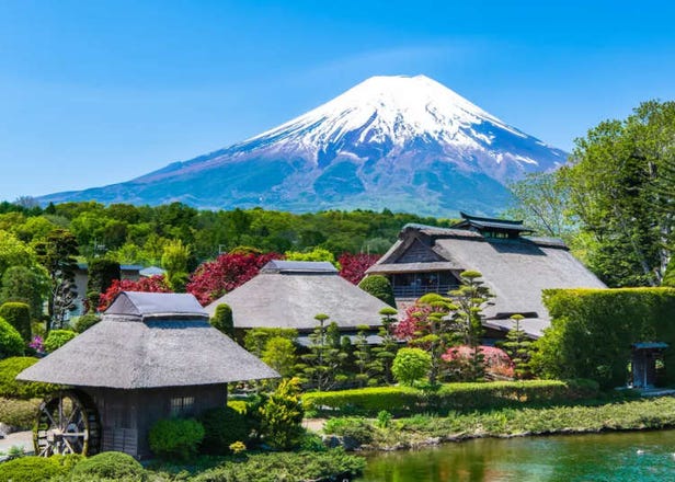 15 Fun Autumn Tours to Join this Fall: Enjoy Japan's Seasonal Splendor