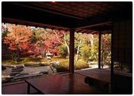 autumn tours to japan