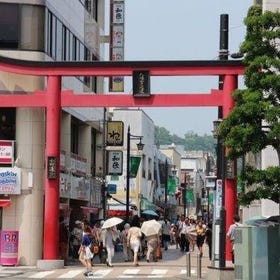 Kamakura Komachi-Dori Half-Day Customizable Food Tour
Image: Klook