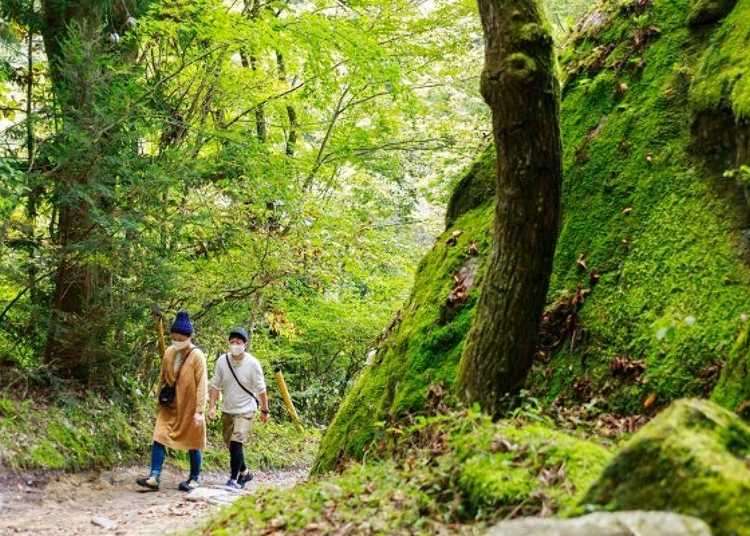 八ヶ岳の自然に親しみ歴史と文化に触れる～八ヶ岳ガストロノミーの贅沢おとな旅～