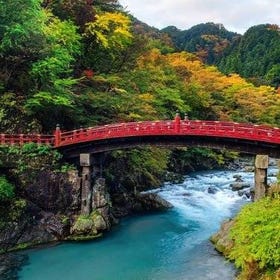 Nikko Sightseeing 10 Hours Private Chartered Car Tour from Tokyo
Details & Bookings ▶
(Photo: Klook)