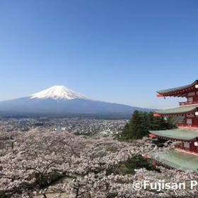 Book Online ▶ Arakurayama Sengen Park Tour with English-Speaking guide
Photo: kkday
