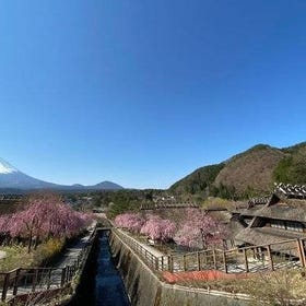 Mt Fuji Crafts Village and Lakeside Kid-Friendly Bike Tour
(Photo: Viator)