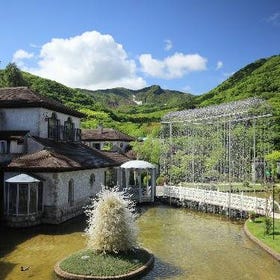 Hakone Venetian Glass Museum
(Image: Klook)