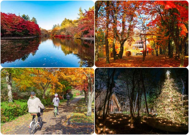 Fun Things to Do in Karuizawa: Your Ultimate Guide to Sightseeing, Shopping, Delicious Eats, Skiing, Biking, and More