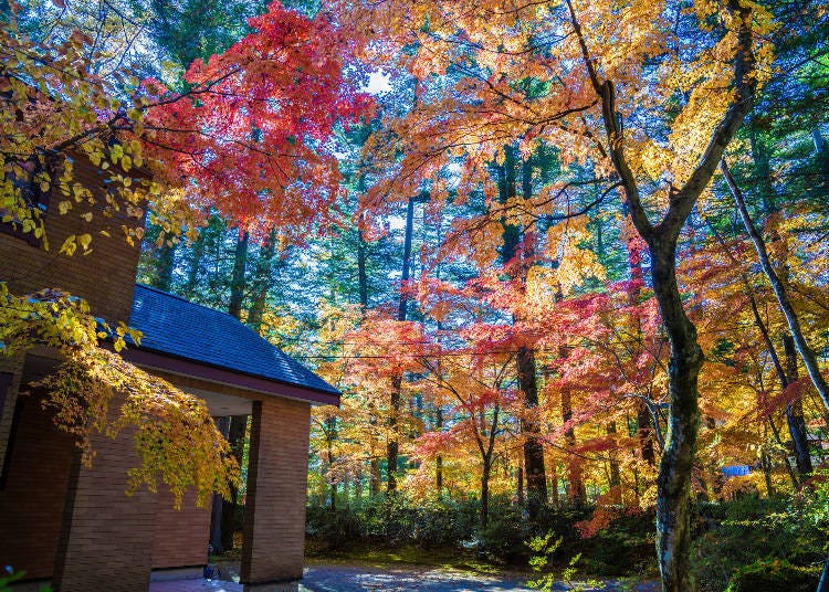 秋季的輕井澤與別墅建築｜照片來源：PIXTA