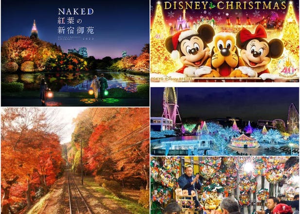 Best Things to Do in Tokyo in November 2023: Fall Colors, Festivals, Illuminations & More
