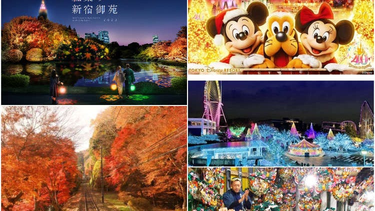 【2023年11月】東京や近郊のイベント＆お祭り情報まとめ！紅葉祭りやイルミネーションイベントなど