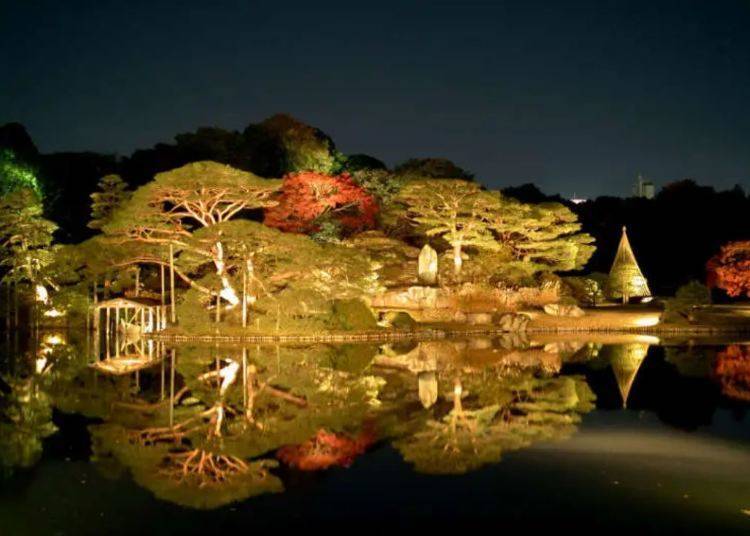 Rikugien Gardens Autumn Illuminations 2023 (Hon-komagome)