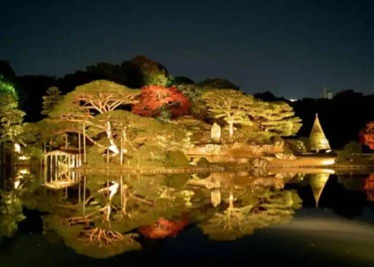 Nighttime Viewing of Garden Autumn Foliage at Rikugien (Hon-Komagome)