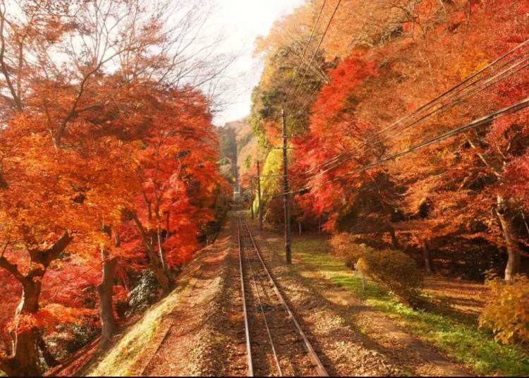 高尾山もみじまつり（高尾山）