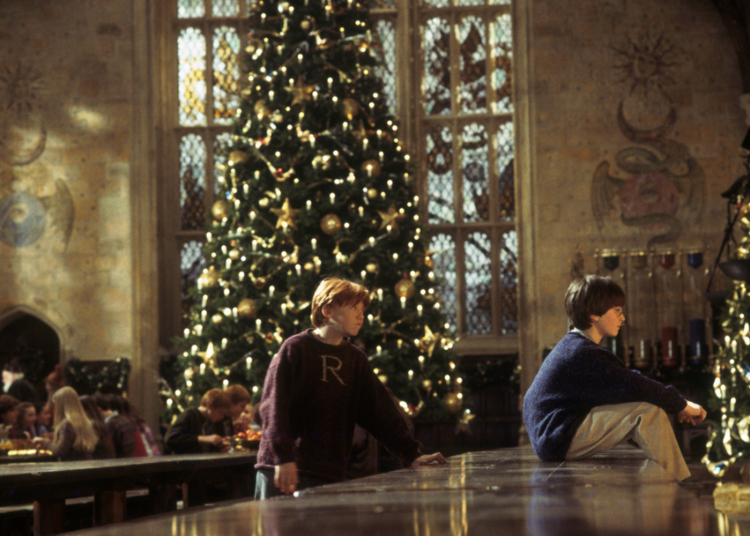 Harry Potter characters, names and related indicia are trademarks of and © Warner Bros. Entertainment Inc. Harry Potter Publishing Rights © J.K.R.© 2024 Warner Bros. Entertainment Inc. All rights reserved.