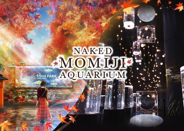 NAKED MOMIJI AQUARIUM（品川）