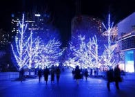 places to visit in tokyo in december