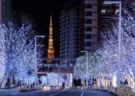 places to visit in tokyo in december
