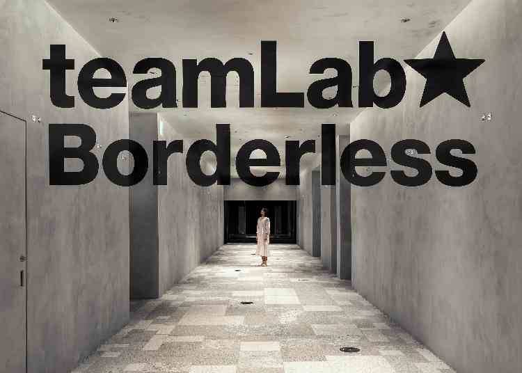 博物館入口 「MORI Building DIGITAL ART MUSEUM：EPSON teamLab Borderless」東京 © teamLab