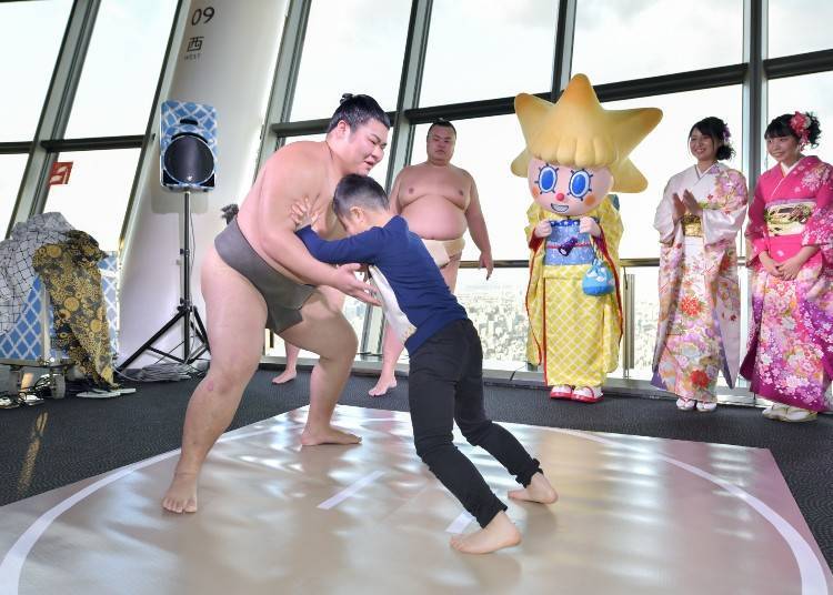 스모선수와 힘겨루기