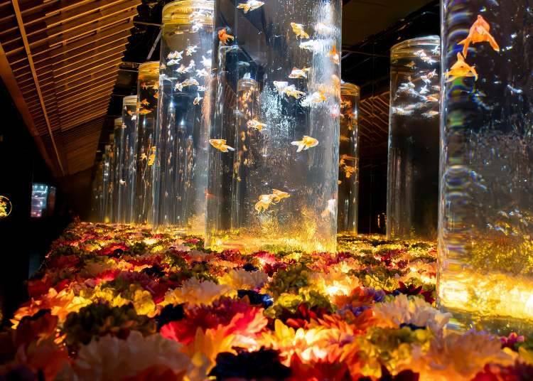 (写真: ART AQUARIUM MUSEUM GINZA)