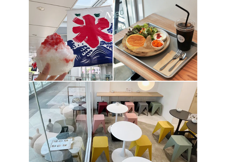 照片取自PR TIMES
