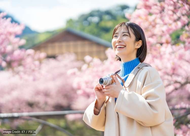 東京 2 月活動總整理：節慶、市集、新景點與梅花季亮點