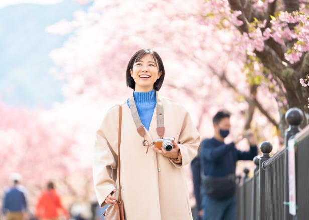 Best Things to Do in Tokyo in February 2025: Festivals, Plum Blossoms & More