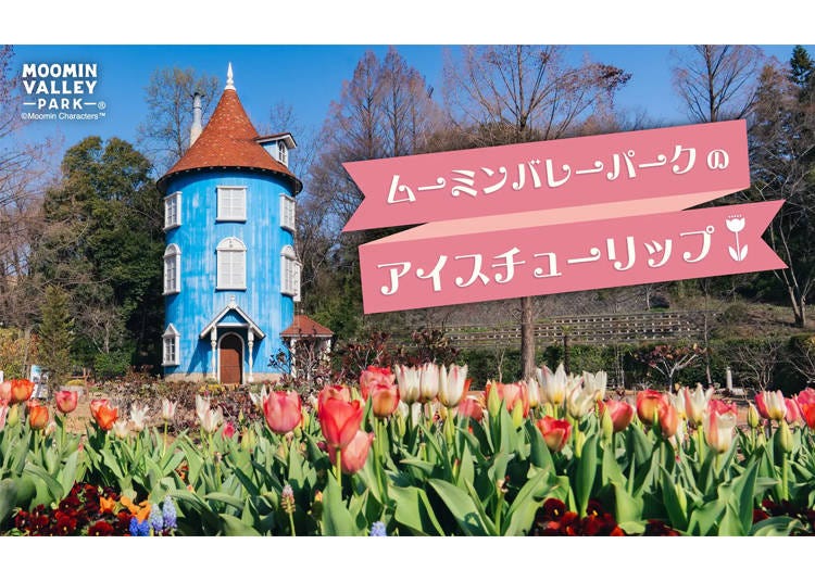Moominvalley Park: Ice Tulip Display (Hanno, Saitama)