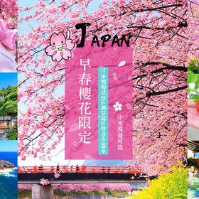 2025年 早春の桜限定～河津桜まつり・さくらの里＆いちご狩り＆修善寺温泉日帰りツアー