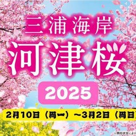 Miura Kaigan Cherry Blossom Festival & Misaki Port Tour from Tokyo