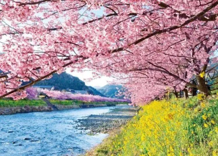 (사진 제공: KKday)